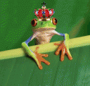 ranita.gif
