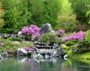 46214_m_jardin_japones4.jpg