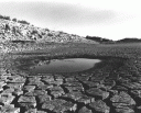 sequia-1.gif