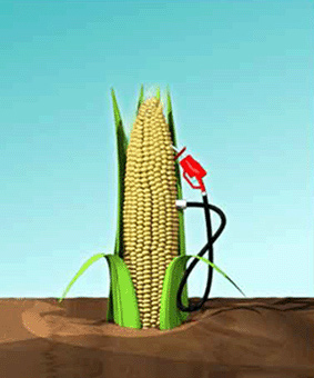 biocombustibles.jpg