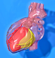 corazon2.jpg