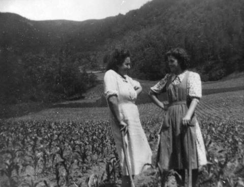 mujeres-campo2.jpg