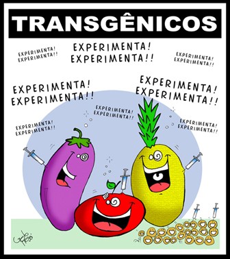 transgenicos.jpg