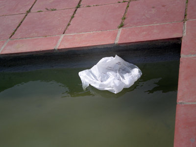 La fuente del parque con una bolsa de plástico del super. La fuente del parque con una bolsa de plástico del super.