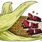 agrocombustibles